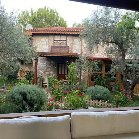 Pavelin Yeri * 埃德雷米特