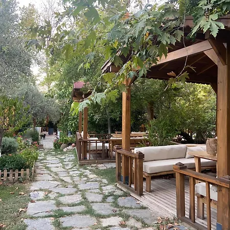 Hotel Pavelin Yeri *