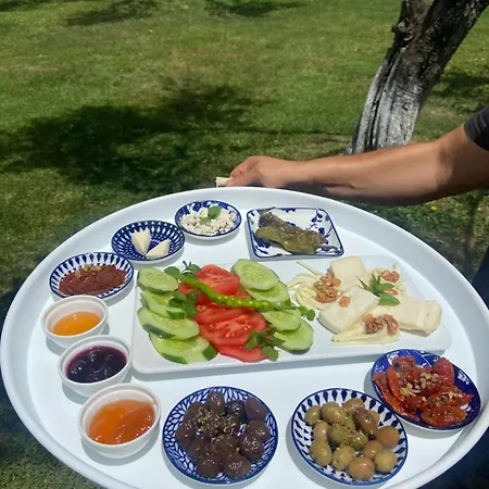 Hotel Pavelin Yeri