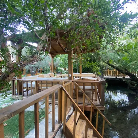 Pavelin Yeri * Edremit (Balikesir)