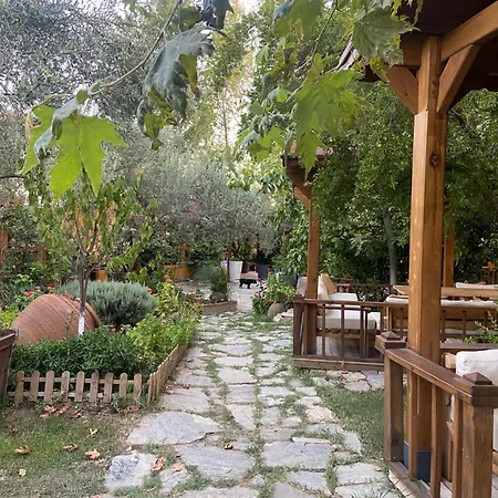 Pavelin Yeri Hotel *