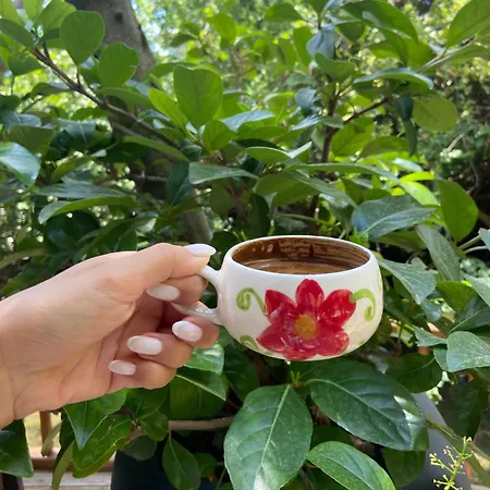 Pavelin Yeri Edremit (Balikesir)