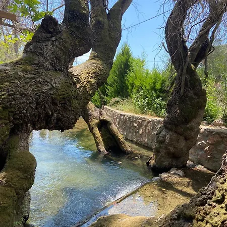 Hotel Pavelin Yeri Edremit (Balikesir)