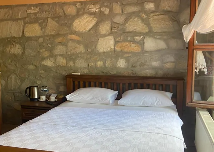 Pavelin Yeri מלון *