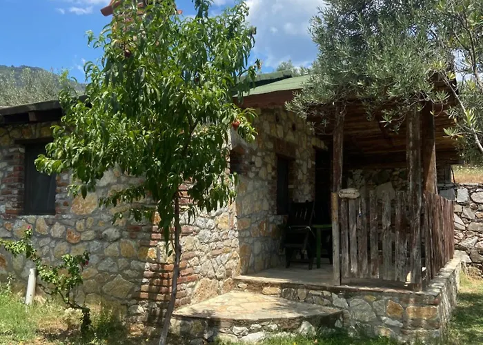 Pavelin Yeri אדרמיט