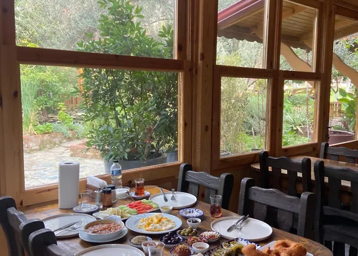 Pavelin Yeri * אדרמיט