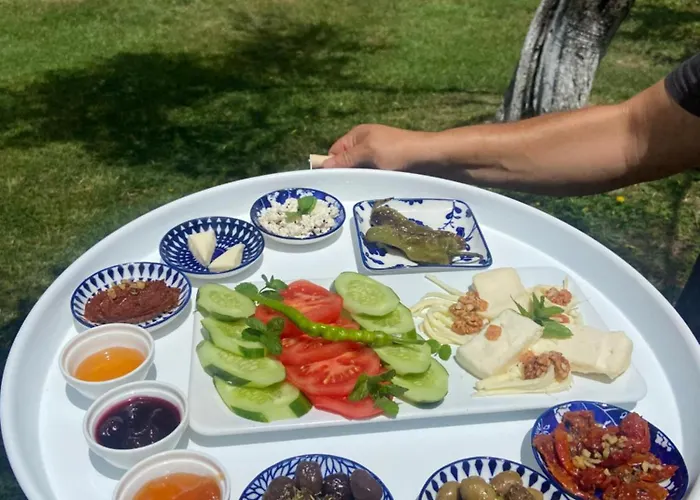 מלון Pavelin Yeri