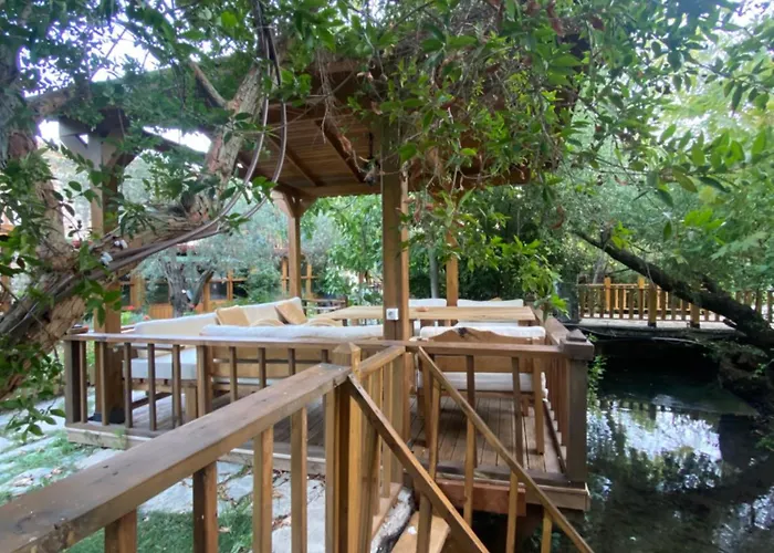 Pavelin Yeri * אדרמיט