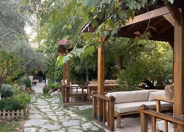 מלון Pavelin Yeri *