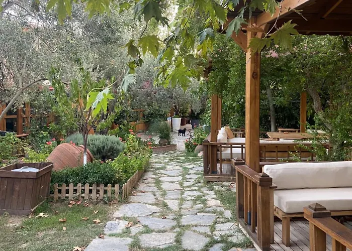 Pavelin Yeri מלון אדרמיט